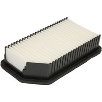 Luftfilter HENGST FILTER E1047L Luftfilter HENGST FILTER E1047L von Hengst