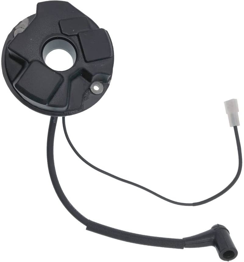 HEPENG 501831901 Zündspule passend für Husqvarna 265RX/165R/165RX/2100/2101/298 Kettensägen-Trennsägenmodul von HEPENG