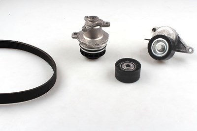 Hepu Wasserpumpe + Keilrippenriemensatz [Hersteller-Nr. PK09640] für Nissan, Opel, Renault, Vauxhall von HEPU