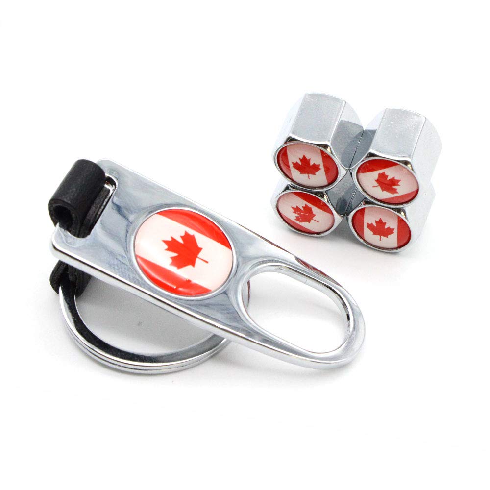 HIGGER 5 Teile/satz Kanada Flagge Stil diebstahl Emblem Auto Auto Rad Reifen Luft Leder schnalle Ventilkappen Mit Schraubenschlüssel (Silber) von HIGGER