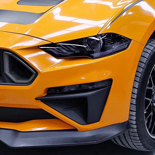 HIGH FLYING Exterieur Stoßfänger Dekor ABS Kunststoff 2 Stück für Mustang EcoBoost/GT 2018-2023 (Bohren ist erforderlich) von HIGH FLYING