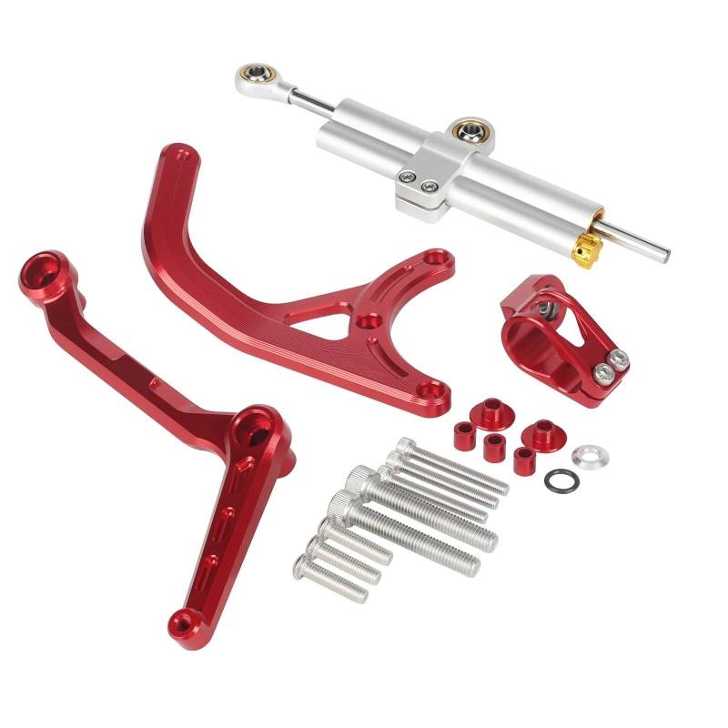 Steering Damper Motorrad Motorrad-Lenkungsdämpfer, Titan-Lineal, Richtungsdämpferhalterung, Passendes Pikes Peak-Zubehör Für Ducati Für Multistrada MTS V4 RALLY V4 Stabilisator Lenkungs DäMpfer(Silver von HJTEDHE