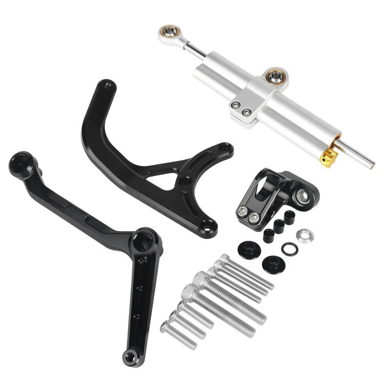 Steering Damper Motorrad Motorrad-Puffer-Steuerstange Pikes Peak Zubehör Titan-Lineal Richtungsdämpferhalterung Passend Für Ducati Für Multistrada MTS V4 RALLY V4 Stabilisator Lenkungs DäMpfer(Silver- von HJTEDHE