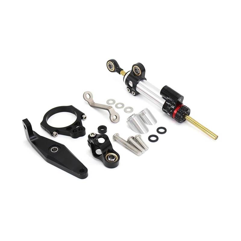 Motorradlenkungsdämpfer für YA-MAHA MT09 für MT 09 MT-09 SP Mt09 2021 2022 2023 Motorradlenkungsstabilisierungsdämpfer-Montagesatz (Größe: 10) von HMILOT