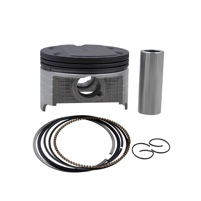 Größe STD ~+150 73mm ~74,5mm Motorradteile Kolbensatz Ringe Clip Kit for AN250 1998-2006 DR250 1990-1995(74 (Oversize 1.0)) von HMLZSJ