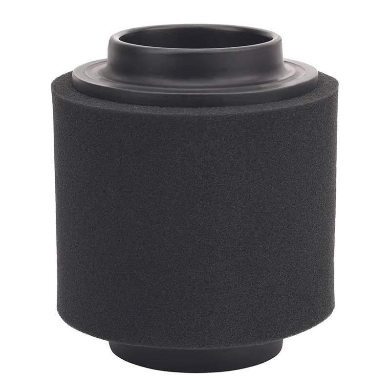 Motorrad Intake Reiniger Luftfilter for SPORTLER 300 TRAIL BLAZER XPLORER 250 244 400 HAWKEYE 300 PHOENIX 200 196 von HMLZSJ