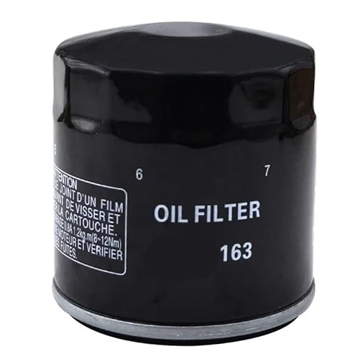 Motorrad Ölfilter for R1100GS R1100R R1100RA R1100RL R1100RS R1100RT R1100S R1100SA PD SE ABS 1100 Special Edition(1 Pc) von HMLZSJ