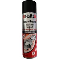 HOLTS Fettspray Inhalt: 500ml HMAI0101A von HOLTS