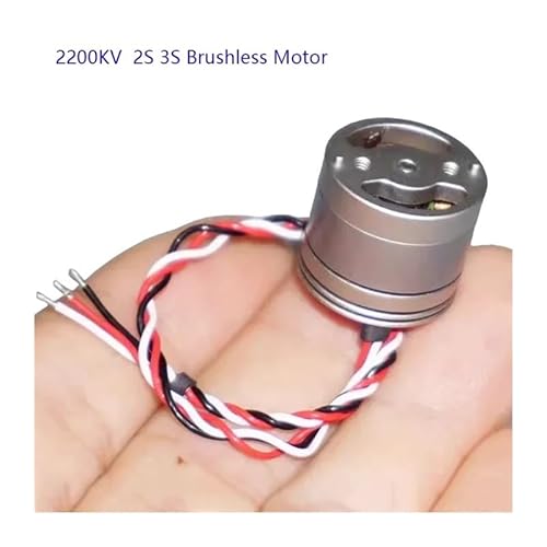 2S 3S 1406 Brushless electronic starter 2200KV Airplane electronic starter DC 7.4V BLDC for Quadcopter Aircraft Model Fixed-wing Model Airplane HOROJDTH von HOROJDTH