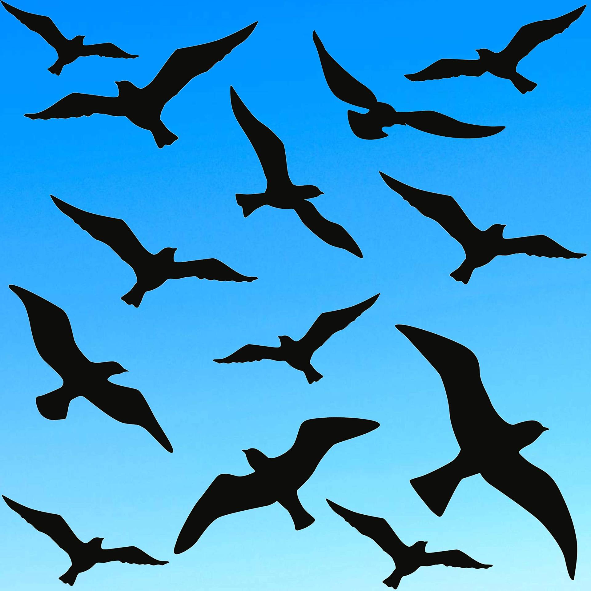 HR-WERBEDESIGN 13x Vogel Aufkleber Vogelschutzaufkleber Vögel Fensteraufkleber Vogelschutz Bird HR-WERBEDESIGN 13x Vogel Aufkleber Vogelschutzaufkleber Vögel Fensteraufkleber Vogelschutz Bird von HR-WERBEDESIGN