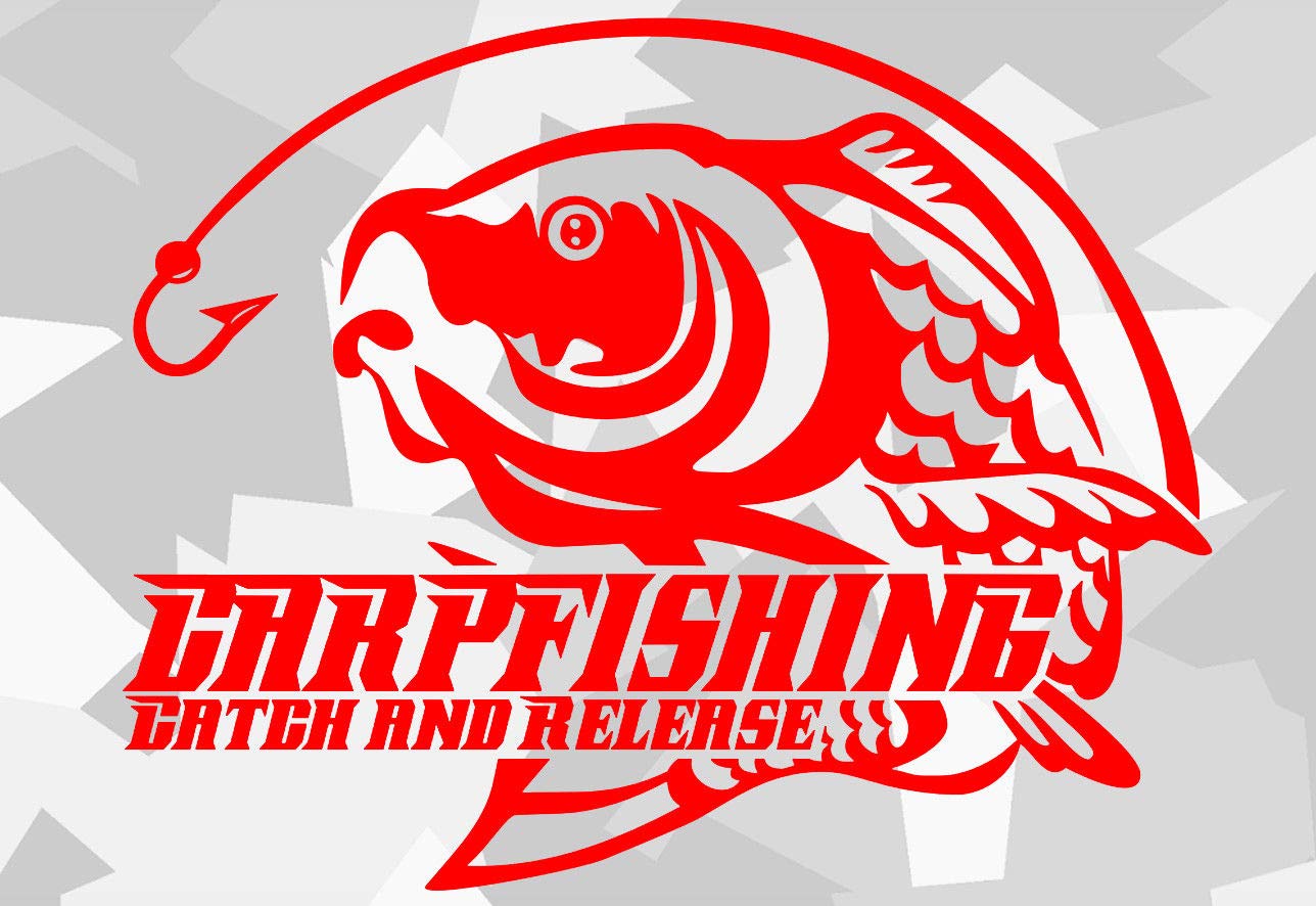 HR-WERBEDESIGN 1x Baits Karpfen Boilies Carp Auto Aufkleber Angeln Köder Hunt Fang Rute Fisch HR-WERBEDESIGN 1x Baits Karpfen Boilies Carp Auto Aufkleber Angeln Köder Hunt Fang Rute Fisch von HR-WERBEDESIGN