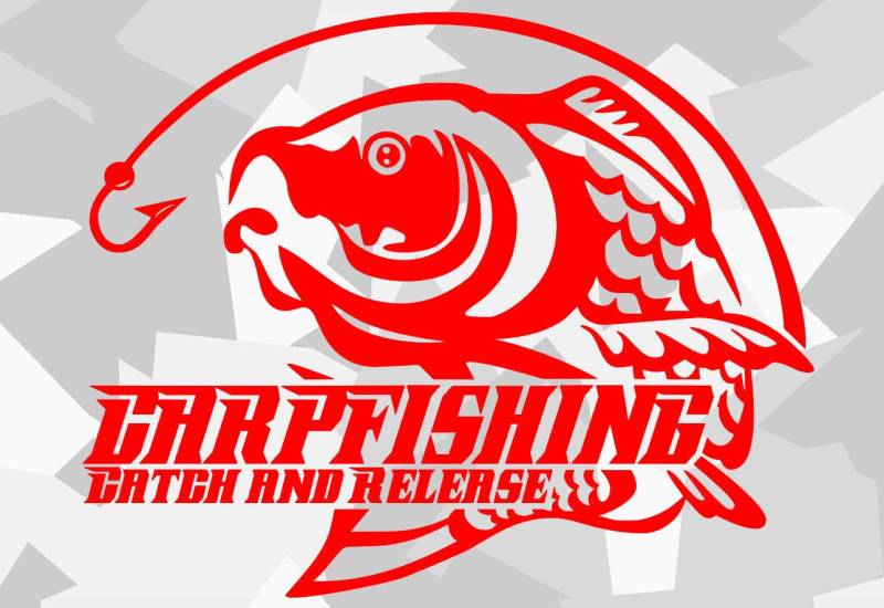 HR-WERBEDESIGN 1x Baits Karpfen Boilies Carp Auto Aufkleber Angeln Köder Hunt Fang Rute Fisch von HR-WERBEDESIGN