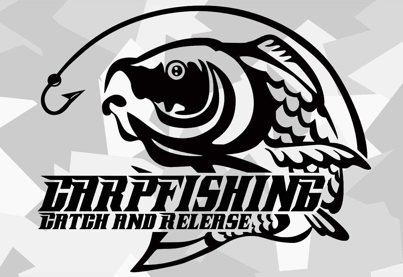 HR-WERBEDESIGN 1x Baits Karpfen Boilies Carp Auto Aufkleber Angeln Köder Hunte Fang Rute Fisch HR-WERBEDESIGN 1x Baits Karpfen Boilies Carp Auto Aufkleber Angeln Köder Hunte Fang Rute Fisch von HR-WERBEDESIGN