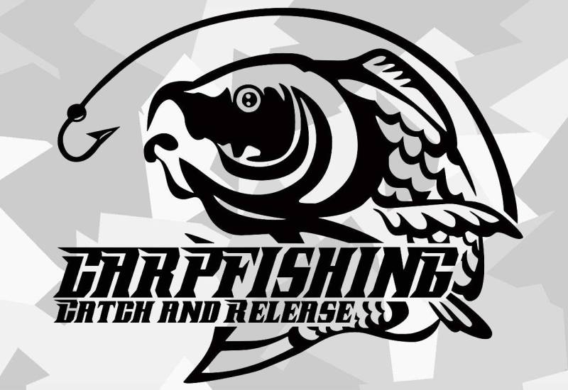 HR-WERBEDESIGN 1x Baits Karpfen Boilies Carp Auto Aufkleber Angeln Köder Hunte Fang Rute Fisch von HR-WERBEDESIGN