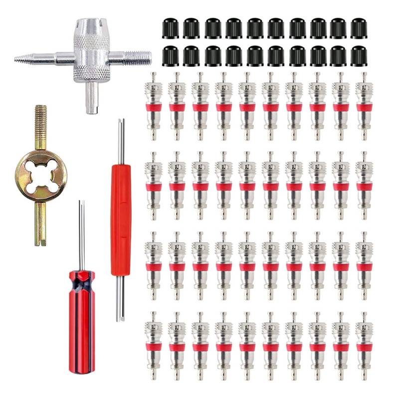 HUAZIZ 64-Teilig Reifenventilentferner Reifen ventileinsatz (40 x Ventil Kerne + 2 x Ventil Entferner+ 1 x 4 in1 Reparatur-Werkzeug+ 1 x Ventilkernschlüssel+20×Reifenventilkappen) für Auto,Fahrrad von HUAZIZ