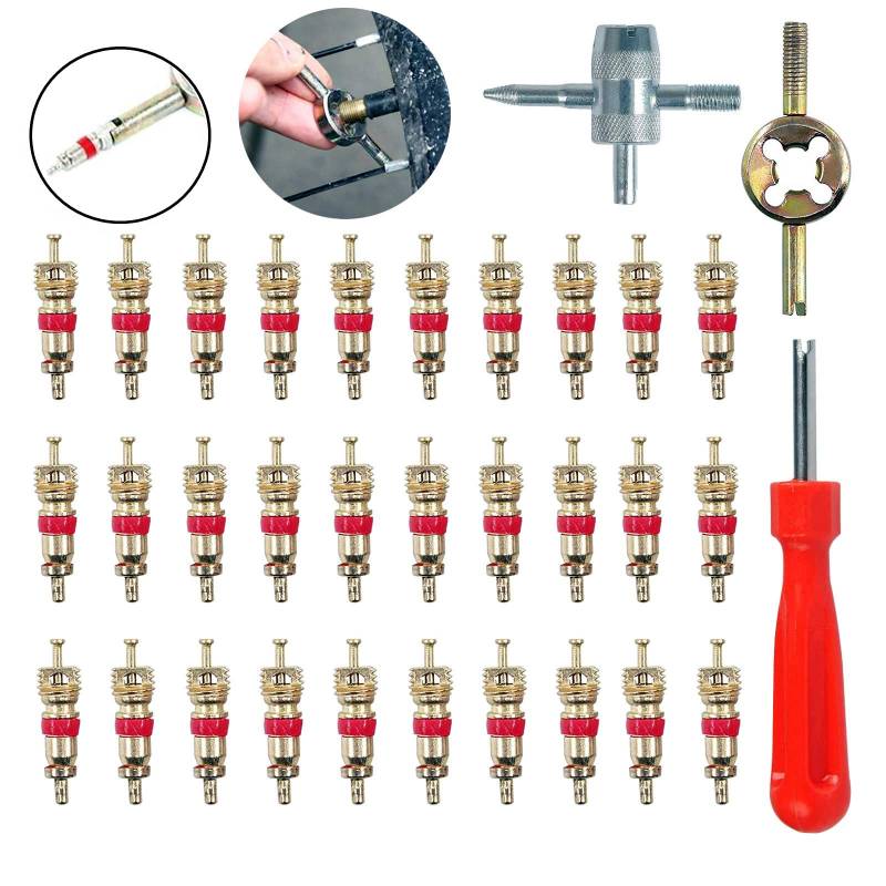 HUAZIZ 33-Teilig Reifenventilentferner Reifen ventileinsatz (30 x Ventil Kerne + 1 x Einkopf-Ventil Entferner+ 1 x 4 in1 Reparatur-Werkzeug+ 1 x Ventilkernschlüssel) für Auto, Motorrad, Fahrrad von HUAZIZ