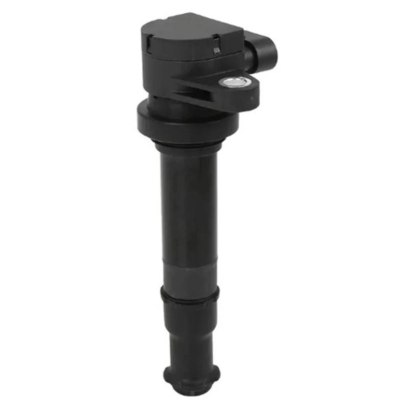 HUDVNST [Replacement] Zündspule Stick Zündung System, 1721012900, for Samsung, for Renault SM5, for Hyundai, Paket Teile 17210-12900 von HUDVNST