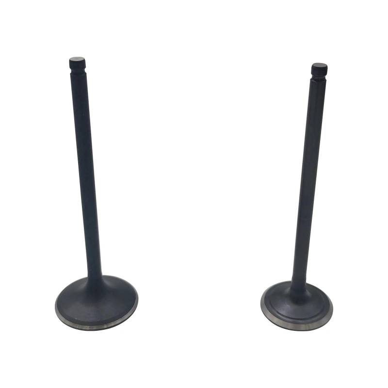 2 STÜCKE Oder Einlass Fit for Stels Leopard 500 600 650 ATV 100701-102-0000 LU065622 100702-102-0000 LU065623(1 of each) von HXMPJSD