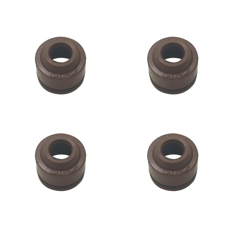 4-teiliges Dichtungsset 5x10x8,7, Schaft for Dichtungsringsatz for russische Mechaniker RM PM 500-2 650 650-2 ATV for Schneemobil 505c043 0120615 LU065628 von HXMPJSD