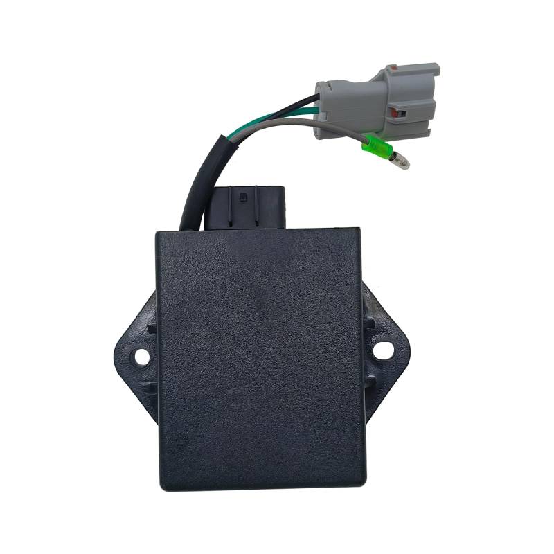 Elektronische Zündung Einheit TCI CDI Fit for Stels ATV 300B for Buyang 300 22001A 5.3.01.0220 5.3.01.0221 LU019196 von HXMPJSD