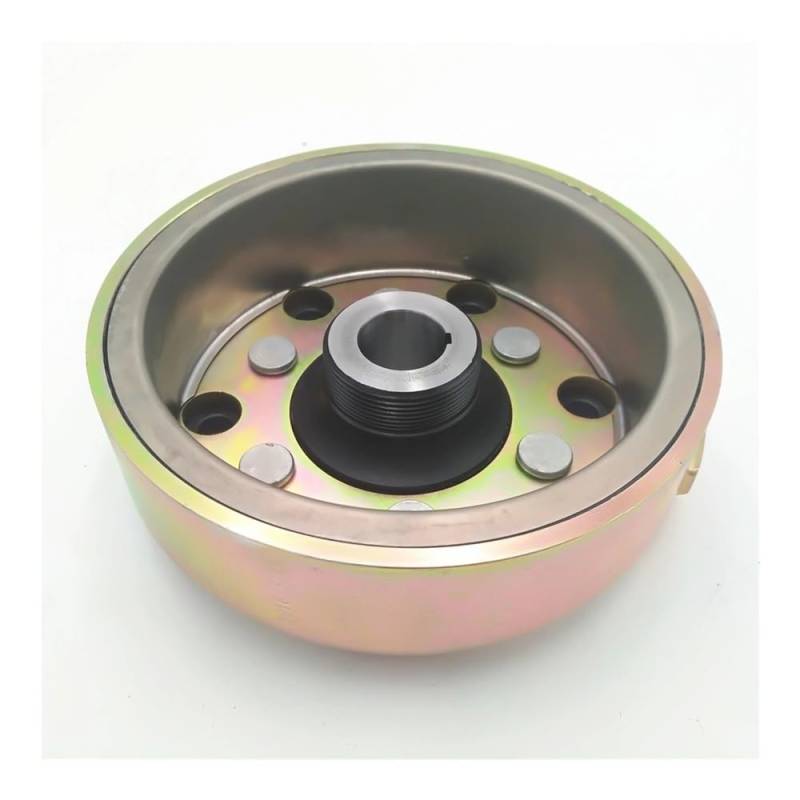 Fit for Linhai 500CC Schwungrad MAGNETO ROTOR EFI Modell 35335 GO KART ATV von HXMPJSD
