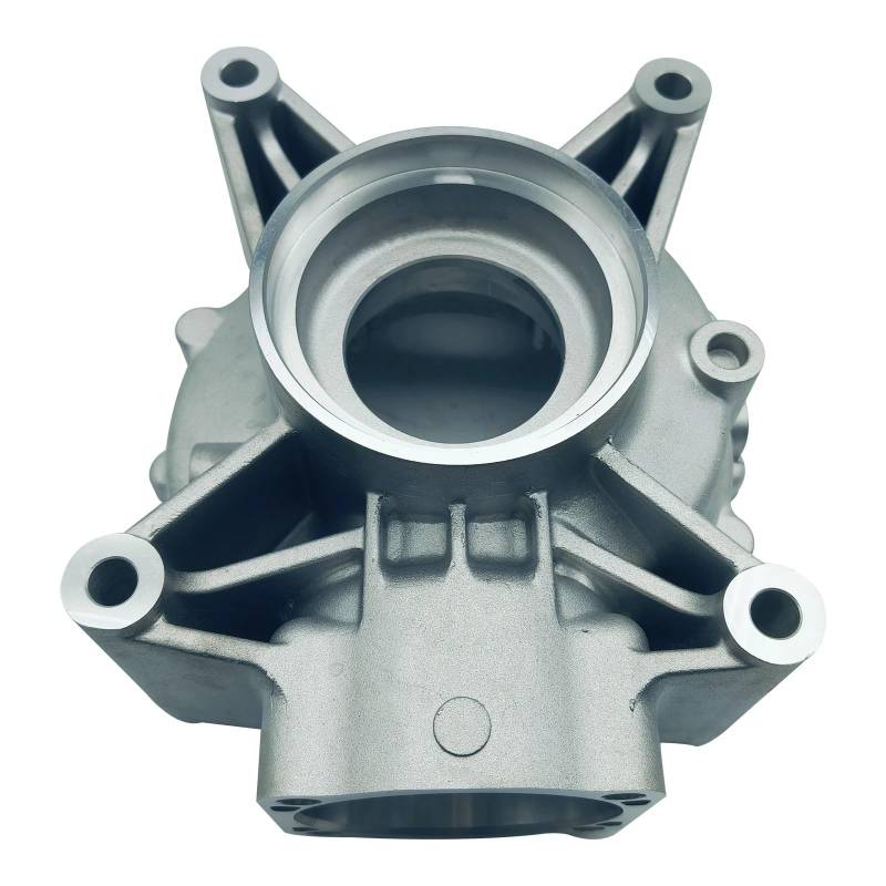 Hinten Getriebe Gehäuse Fit for ATV 400L EPS (X4 EPS) X8 EFI-EPS 500 HO Q520-332001 von HXMPJSD