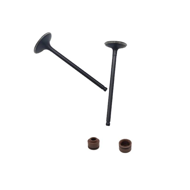 Kit passend for Stels Leopard 500 600 650 ATV 100701-102-0000 100702-102-0000 100705-102-0000 LU065622 LU065623 LU065628(1 set) von HXMPJSD