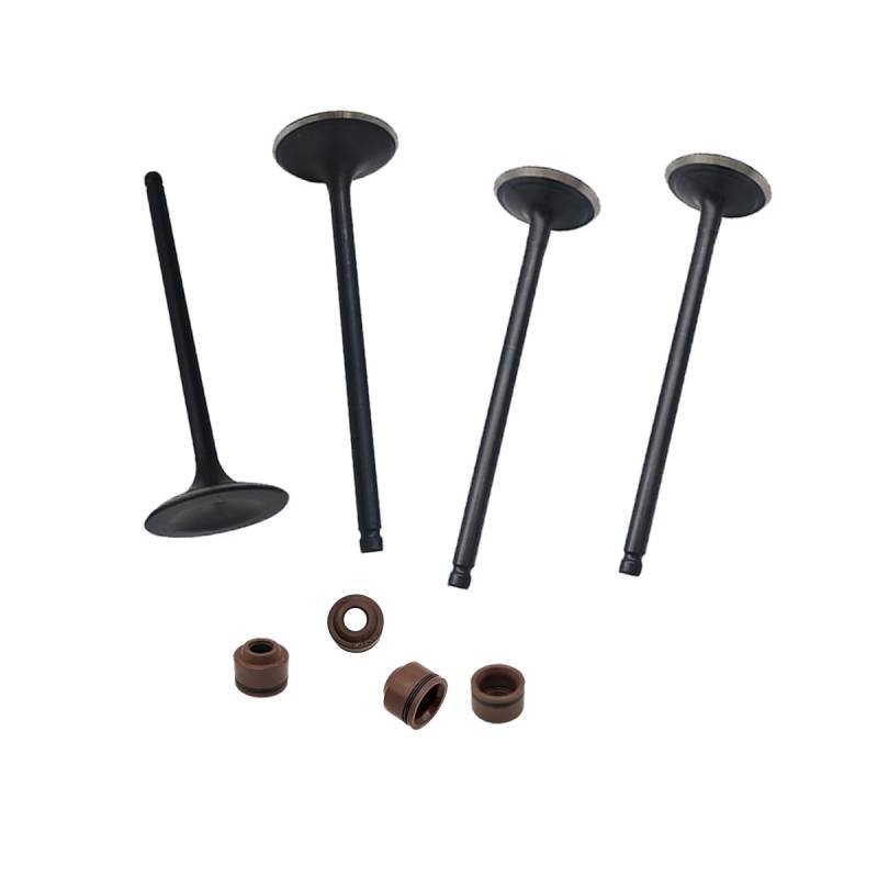 Kit passend for Stels Leopard 500 600 650 ATV 100701-102-0000 100702-102-0000 100705-102-0000 LU065622 LU065623 LU065628(2 sets) von HXMPJSD