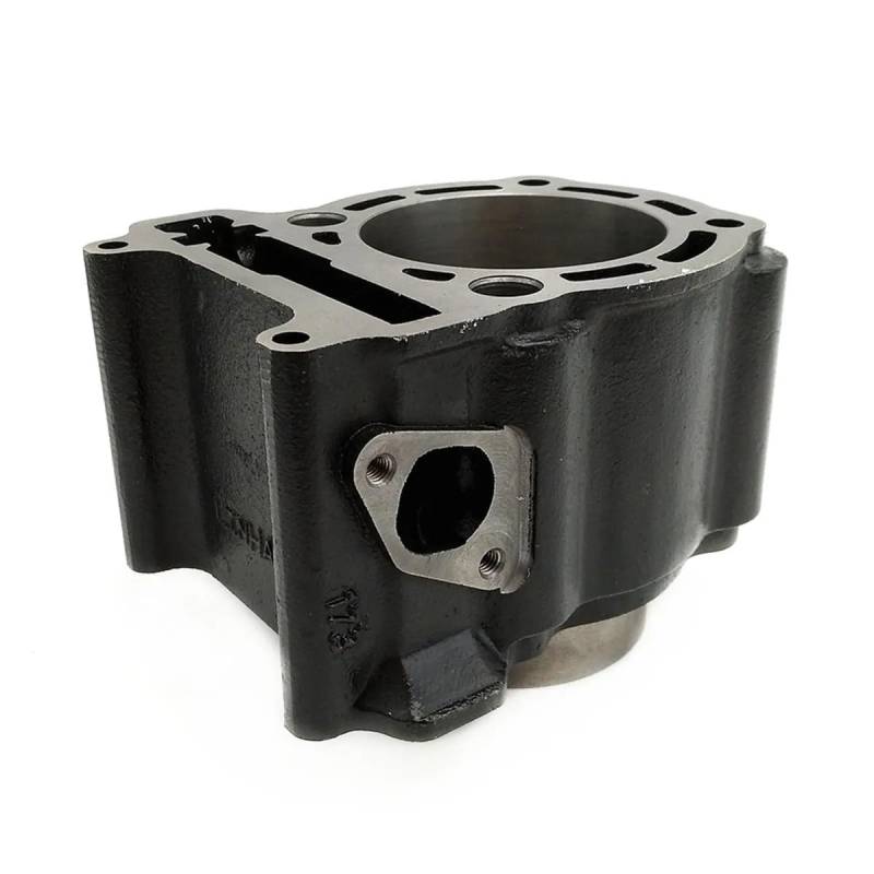 Passend for ATV 300B Zylinder 2.1.01.0401 LU018895 22420A von HXMPJSD
