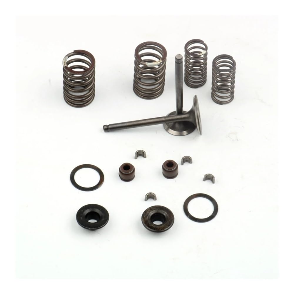 Passend for GY6 150cc 157QMJ Zylinderkopf-Kit Ansaug- und Ventilsatz mit Federsatz for 1P57QMJ Chinesisches Roller-Moped-ATV von HXMPJSD