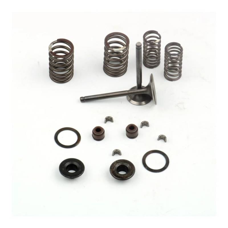 Passend for GY6 150cc 157QMJ Zylinderkopf-Kit Ansaug- und Ventilsatz mit Federsatz for 1P57QMJ Chinesisches Roller-Moped-ATV von HXMPJSD