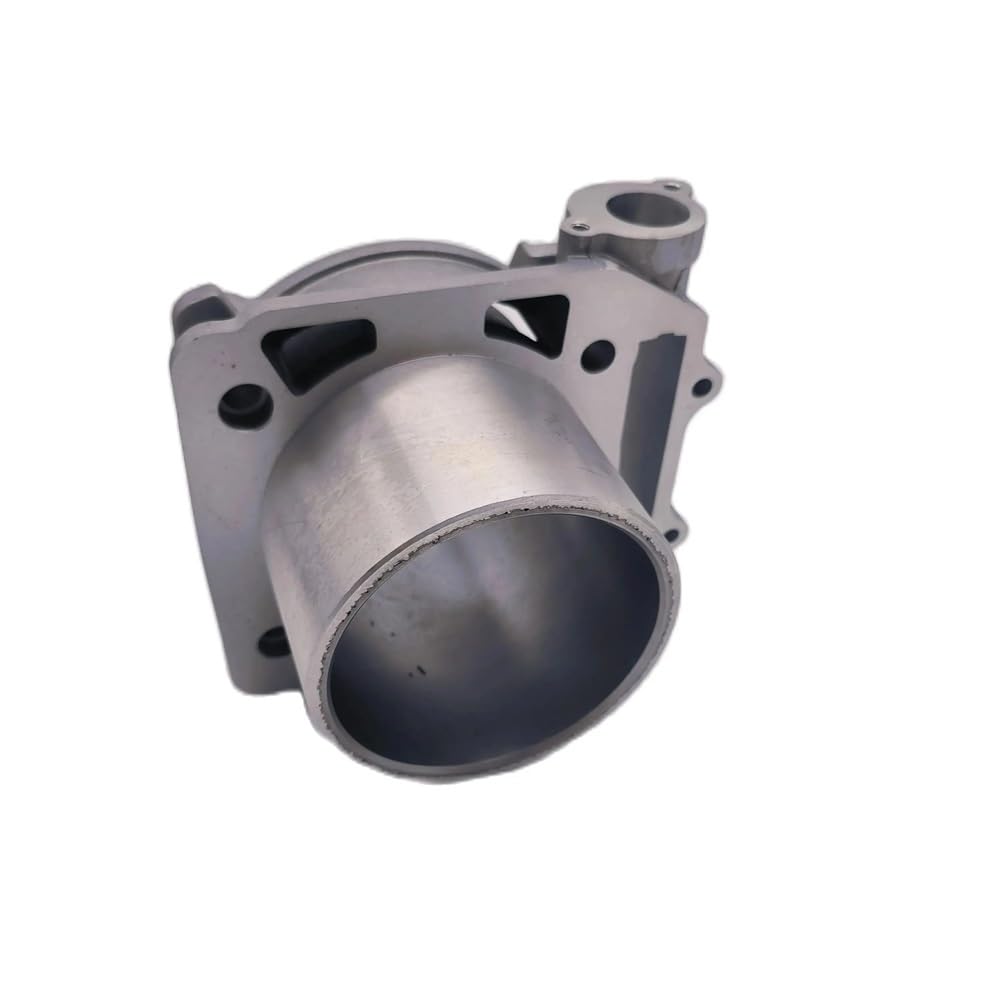 Passend for Hisun ATV Teile 800 Zylinderkörperbaugruppe Zylinder OEM 1211A-010000-0100 P0100001211A0100 12110-010-0000 4x4 ATV/UTV Teile Passend for Hisun ATV Teile 800 Zylinderkörperbaugruppe Zylinder OEM 1211A-010000-0100 P0100001211A0100 12110-010-0000 4x4 ATV/UTV Teile von HXMPJSD