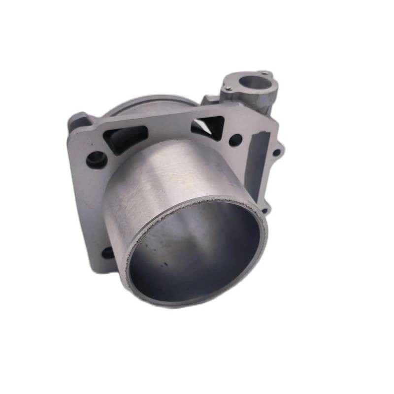 Passend for Hisun ATV Teile 800 Zylinderkörperbaugruppe Zylinder OEM 1211A-010000-0100 P0100001211A0100 12110-010-0000 4x4 ATV/UTV Teile von HXMPJSD