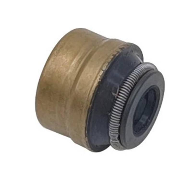 Passend for ODES 800cc Öldichtung 21040100901 von HXMPJSD