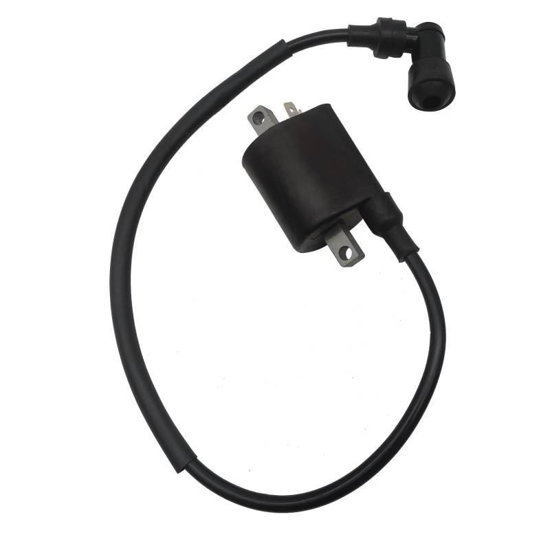 Zündspule mit Draht Fit for Stels ATV 300B Buyang 300 for Feishen FA300 D300 G300 H300 for Quad LU019139 5.3.01.0240 for Hunter XTX 300B von HXMPJSD