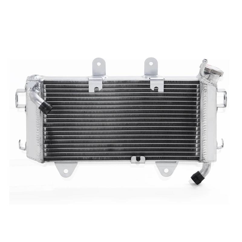 For 390 15 16 17 18 RC390 2015-2019 125 ABS 13-16 200 ABS 13 14 15 Motor Kühler Kühlung Wasser Kühler(Duke 390 15 16) von HYBMRQVD