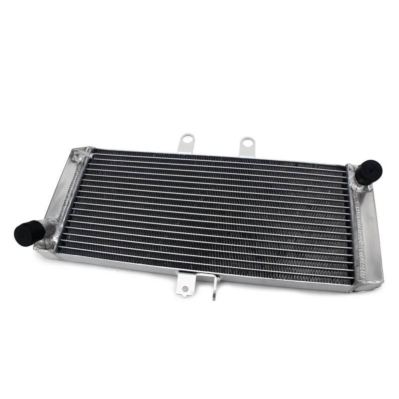For Bandit GSF 1250 07 08 09 10 11 15 16 GSF1250 ABS 07-14 GSX650F 08-16 Motorkühlung Kühler Wasserkühler(GSF 1250 07-11) von HYBMRQVD