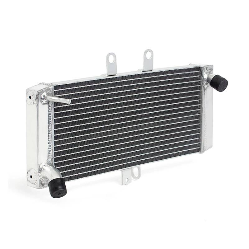 For Bandit GSF 1250 07 08 09 10 11 15 16 GSF1250 ABS 07-14 GSX650F 08-16 Motorkühlung Kühler Wasserkühler(GSF 1250 ABS 07-14) von HYBMRQVD