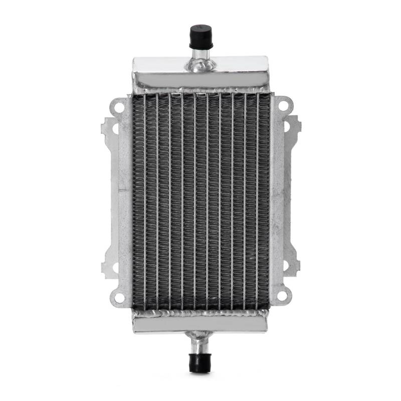 For GTS 125 10 12 15 16 GTS 250 08 09 13 15 GTS 300 12 13 15-20 17 18 GT 250 07 Motorkühler Kühlung Kühler von HYBMRQVD