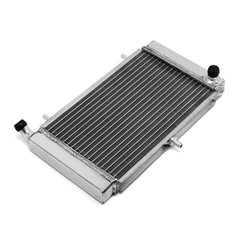 For SR50 94-22 RS125 2T 95-11 10 09 RS 125 GS 92-94 RS 125 SportPro 93 94 Tuono 125 03 04 Motorkühler Kühlung Kühler(RS 125 2T 95-11) von HYBMRQVD