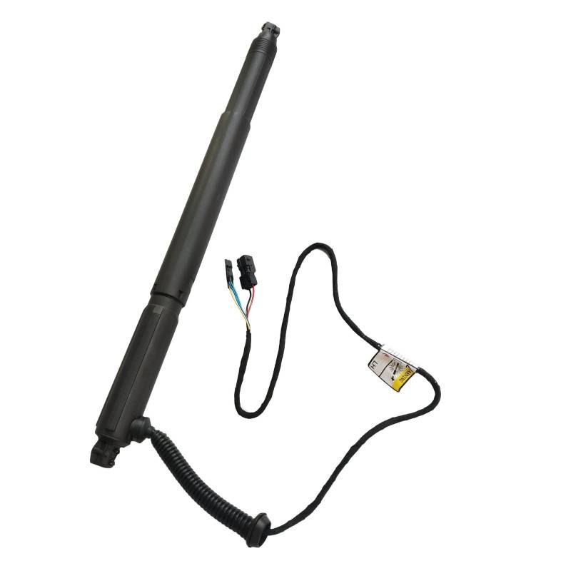 Hajus 8271080 Heckklappendämpfer Elektromotor Heckklappe Hinten Links 51247332697 kompatibel mit BMW X6 E71 E72 30d von Hajus Autoteile Germany