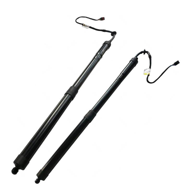 Hajus 8271083001 2x Heckklappendämpfer Heckklappe Hinten 95851285107 kompatibel mit Porsche Cayenne 92A Ford Mondeo Mazda 6 von Hajus Autoteile Germany