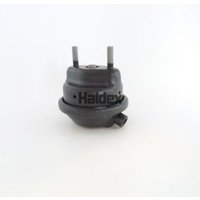 Membranbremszylinder HALDEX 120909301 von Haldex