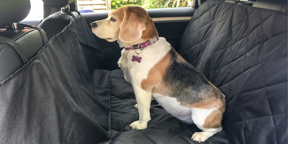 HandiWorld Sitzbezug für Hunde HandiWorld Sitzbezug für Hunde von HandiWorld