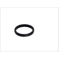 Dichtung, Thermostat HANS PRIES 302 260 Dichtung, Thermostat HANS PRIES 302 260 von Hans Pries