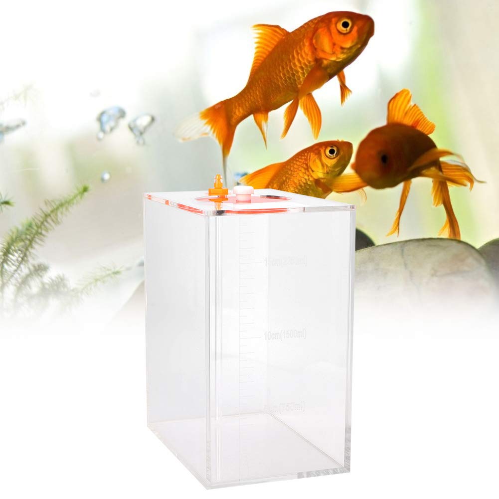 Haokaini Acryl Transparente Dosierpumpe Vorratsbehälter Fass Tragbarer Titrationstank Aquarium Flüssigkeitsvorratsbehälter mit Skala Titrationstank Flasche 2. 5 Liter Haokaini Acryl Transparente Dosierpumpe Vorratsbehälter Fass Tragbarer Titrationstank Aquarium Flüssigkeitsvorratsbehälter mit Skala Titrationstank Flasche 2. 5 Liter von Haokaini