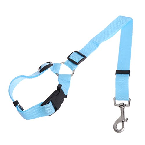 Haorw Hunde Sicherheitsgurt, verstellbar Hunde Sicherheitsgurt Hundegurt Sicherheitsgeschirr mit Autosicherheitsgurt Clip (Blau) von Haorw
