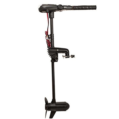 Haswing Elektromotor PROTRUAR 1.0 29.5 kg von Haswing