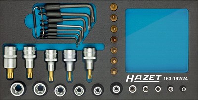 Hazet Steckschlüsseleinsatz Satz TORX® - Vierkant 1/2 1/4 - 24-tlg. [Hersteller-Nr. 163-192/24] von Hazet