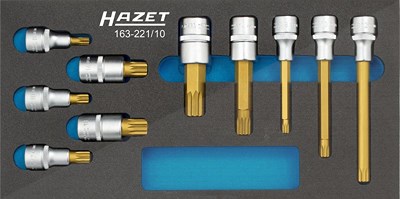 Hazet Schraubendreher-Steckschlüsseleinsatz Satz - 10-tlg. [Hersteller-Nr. 163-221/10] von Hazet